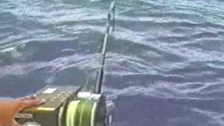 Kristal Fishing Reels  Fishing the Bahamas [upl. by Yruam347]