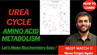 Urea Cycle Amino Acid Metabolism Biochemistry Video Mnemonic and Concepts  Revise Biochemistry [upl. by Hughmanick]