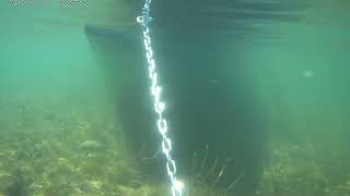 Swimming the Anchor St Lawrence River [upl. by Cahilly571]