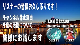 チャンネル休止理由、今後の活動について お話致します！ [upl. by Ikcaj]