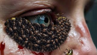 ASMR Treatment Eye  ASMR Eye Animation Removal Maggots [upl. by Fleck]