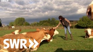 Weideschlachtung auf der Alb  SWR Kaffee oder Tee [upl. by Avril]