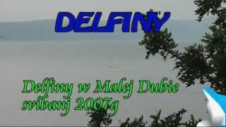 Delfiny  Mala Duba  maj 2007 [upl. by Ardaid]