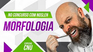 CNU  Morfologia  Professor Noslen professornoslen cnu2024 [upl. by Ocnarfnaig]