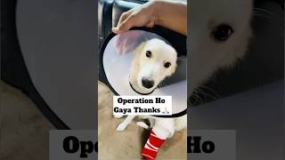 Operation Ho Gaya 🥹  minivlog [upl. by Aicarg649]