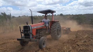 Trator MF 290 cortando a terra seca para o plantio quando as chuvas chegar ano que vem [upl. by Aicats]