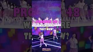 PD48  WHERE ARE THEY NOW UPDATE 2024 shorts pd48 produce48 izone mnet survival [upl. by Bryn]