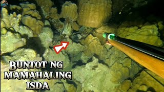 BUNTOT NG MAMAHALING ISDA 😱  EPISODE 143  NIGHT SPEARFISHING PHILIPPINES  Drins Adventure [upl. by Hoebart]