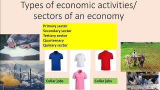 Sectors Of Economy TYPES OF ECONOMIC ACTIVITIES  COLLAR JOBS [upl. by Alphonsa]