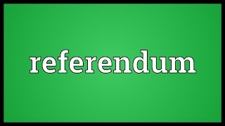 Referendum Meaning [upl. by Deming]