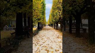 Salzburg Austria autumn feels differentaustria salzburg europe autumn love [upl. by Ahsinut]