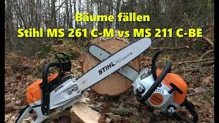 Bäume fällen und KettensägenTest Stihl Ms 211 CBE vs Ms 261 CM [upl. by Assirok270]