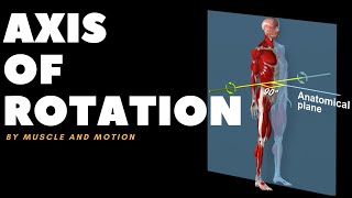 Understanding Axes of MovementRotation [upl. by Sternlight]