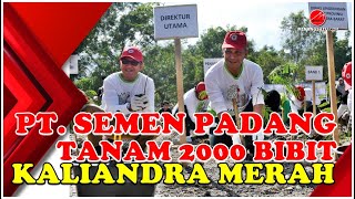 PERINGATI HARI MENANAM POHON INDONESIA INSAN PT SEMEN PADANG TANAM 2000 BIBIT KALIANDRA MERAH [upl. by Bard]