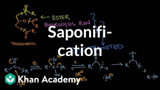 Saponification  Base promoted ester hydrolysis  MCAT  Khan Academy [upl. by Janina]