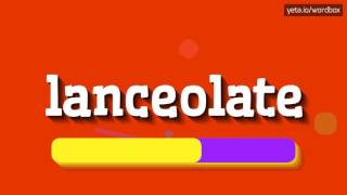 LANCEOLATE  HOW TO PRONOUNCE IT [upl. by Imefulo]