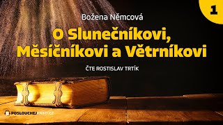 Božena Němcová O Slunečníkovi Měsíčníkovi a Větrníkovi 12 [upl. by Enattirb239]