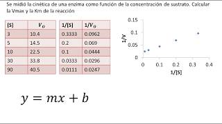 Cinética Enzimática  Diagrama de LineweaverBurk  Ejemplo [upl. by Nywrad404]
