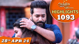 Anbe Vaa Serial  EP 1093 Highlights 28th April 24  Virat  Shree Gopika  Saregama TV Shows Tamil [upl. by Airpal]