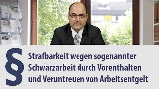 Schwarzarbeit  Heidelberg  Strafbarkeit  Anwalt [upl. by Ocker]