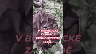 Botanická zahrada Průhonice [upl. by Suirad]