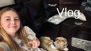 Vlog dog hair haul [upl. by Maxia]