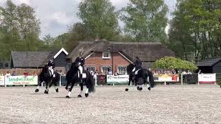 Jouwe 485 op de tuigpaardendag in Lunteren [upl. by Accever692]