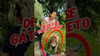 Deja ese Gato quiero Luciana humor comediaencorto shortsviral shortvideos comedy cortometraje [upl. by Akin]