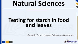 Grade 8 Term1 Natural Sciences The Starch Test [upl. by Acirtap739]