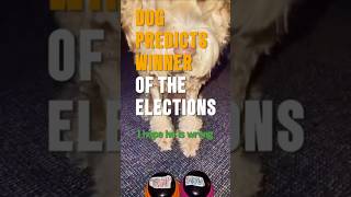 🇺🇸Dog picks election winner  and its bad [upl. by Eniotna]