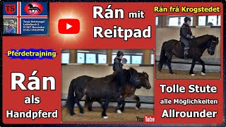 Rán Handpferd Reitpad Isländer Islandpferd Pferdetraining Tipps aus Unterricht Tanja Schienagel [upl. by Arraek102]