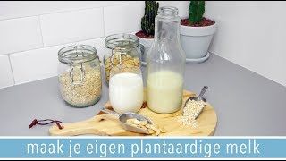 Maak je eigen plantaardige melk🥛 amandelmelk amp havermelk recept  RENSKE VISSER GEWICHTSCONSULENT [upl. by Hey]