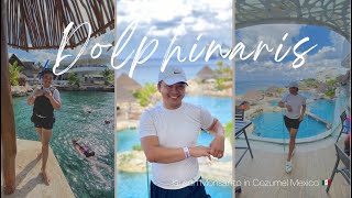 All inclusive VIP Dolphin Swim 🐬in Dolphinaris Cozumel Mexico 🇲🇽 [upl. by Rise]