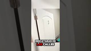 Reacciona de las veterinarias 🐶 viralshort fypシ゚viral animales perros perro [upl. by Kenison]