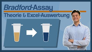 Bradford Assay  Das Brauchst Du  ExcelAuswertung  Tutorial Deutsch [upl. by Burk904]