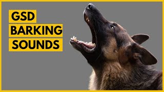 German Shepherd Barking Sounds Compilation See How Your GSD REACTS [upl. by Michiko]