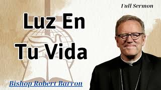 luz en tu vida  Bishop Robert Barron [upl. by Brew981]