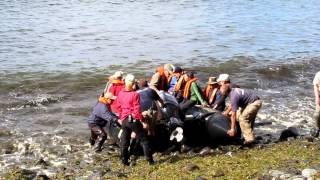 201203 Inaccessible Island 0037 [upl. by Demetrius601]