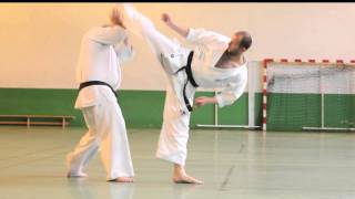 Karate Kyokushinkai  enchainements de combat par Alexandre PICHKUNOV [upl. by Anual]