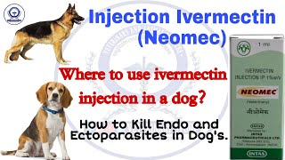 Ivermectin injection Neomec use in dogs in English  Dogs treatment medicine  Veterinary medicine [upl. by Ayekin]