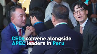 CEOs convene alongside APEC leaders in Peru [upl. by Nilla]