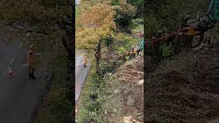 EXCLUSIVE DRONE CAPTURES DEVELOPERS REMOVE OAK TREES FOR HOUSING ESTATE [upl. by Brannon800]