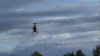 Century Hawk Pro 30 nitro heli maiden flight [upl. by Adnarb]