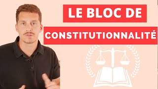 Le Bloc De Constitutionnalité [upl. by Uzziel199]