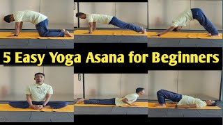 5 Easy Yoga Asanas With Names  Yoga for Beginners  Yoga Stretches [upl. by Gladys]