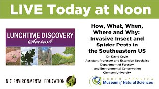 Lunchtime Discovery Invasive Insect and Spider Pests in the Southeastern US [upl. by Narat]