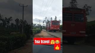 how amazing is this beautiful tea garden travel with Rama 🤗🤗😂👍 srilanka thininsrilanka shinhala [upl. by Lundin]