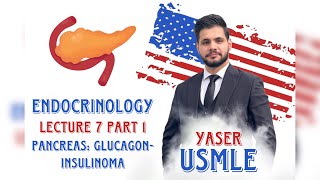 Endocrine Lecture 7a Pancreas  Glucagon USMLE Step1  Dr Yaser [upl. by Bouley]