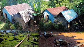 La Cocina de Francisca tenia el techo de yagua La vida del campo [upl. by Oilerua]