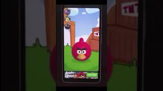 Talking angry bird meme [upl. by Enaed]